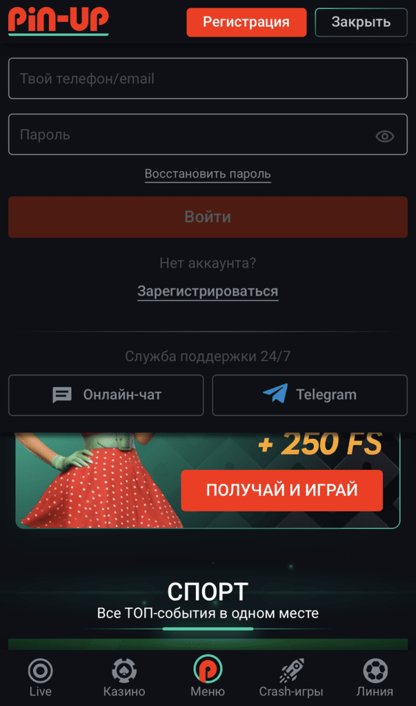 Форма входа в аккаунт на сайте БК PinUp с полями для авторизации, вводом логина, email или телефона и пароля